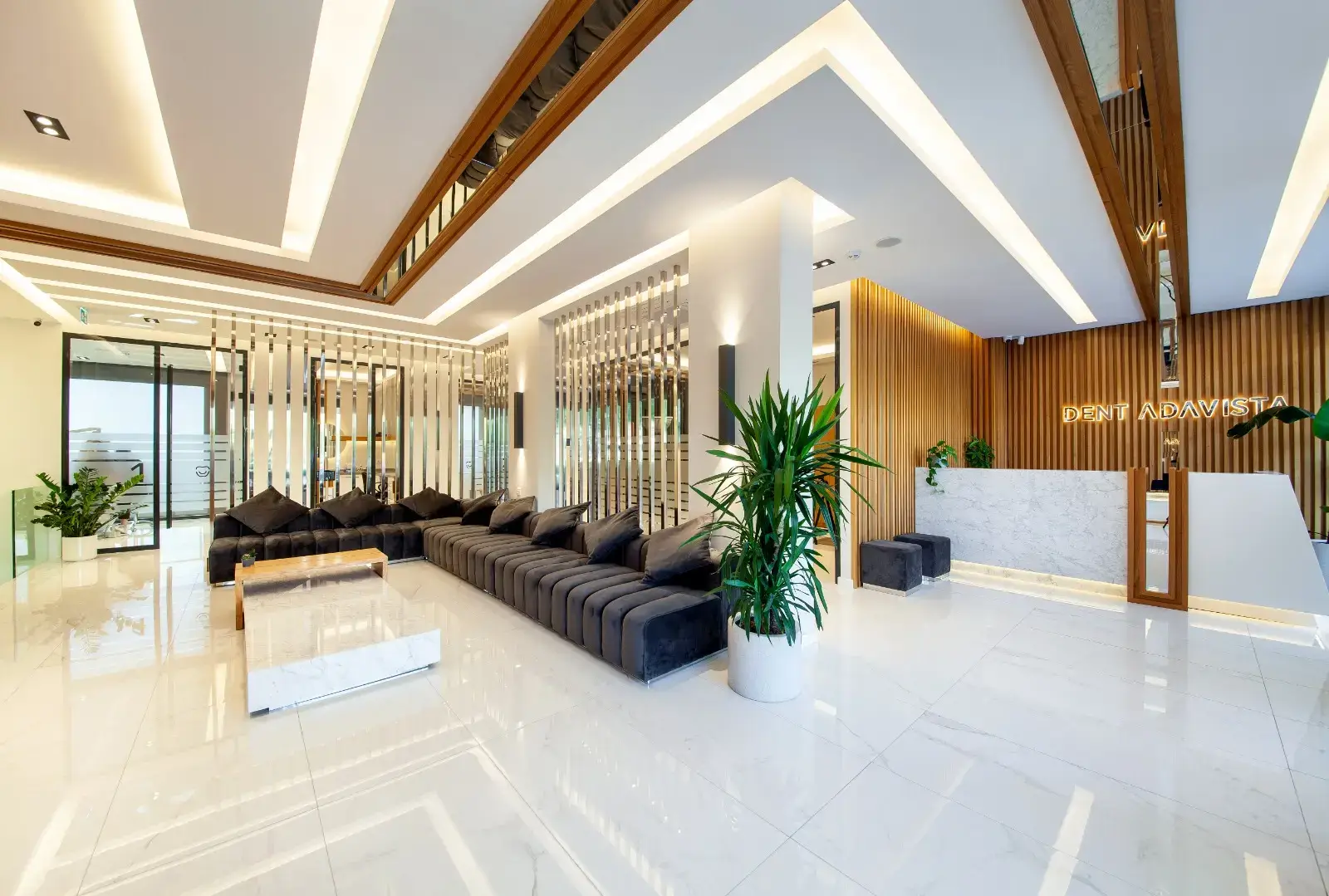 DentAdavista Treatment Session